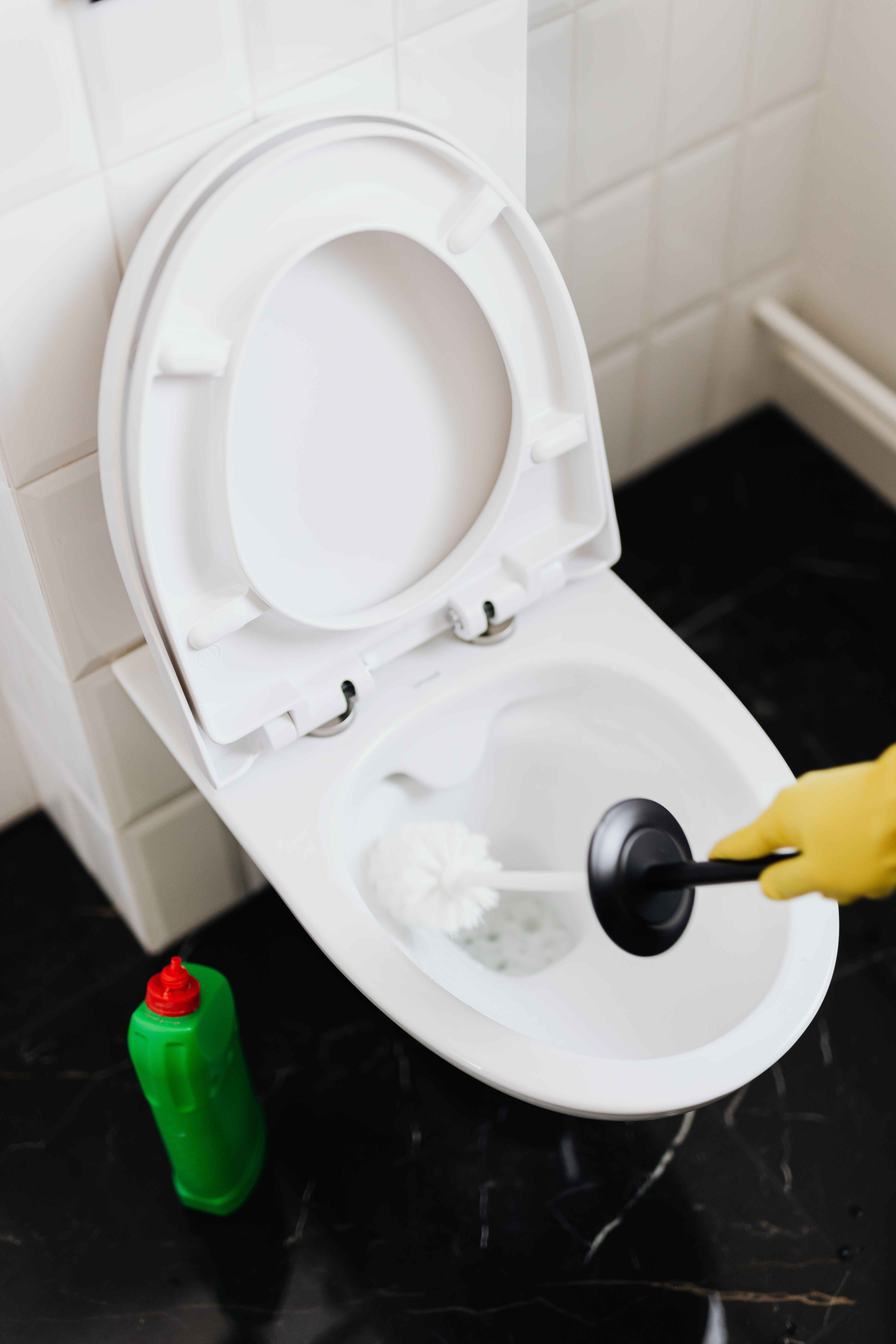 toilet brush using diy cleaners