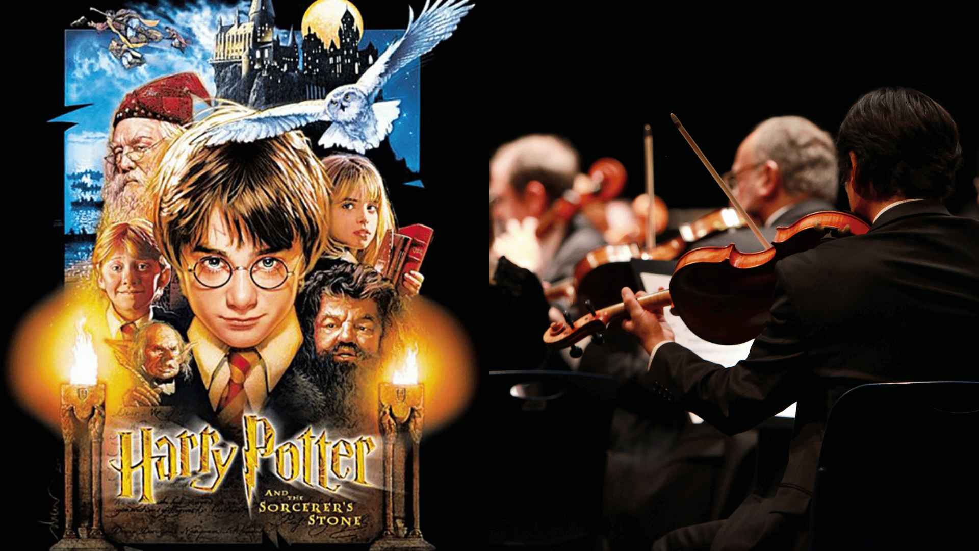 All You Need to Know About Harry Potter Concert Blog