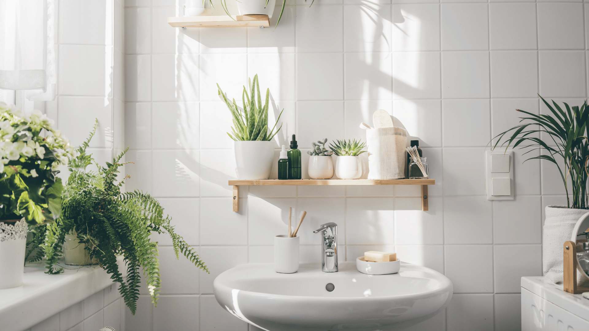 bathroom condo plants
