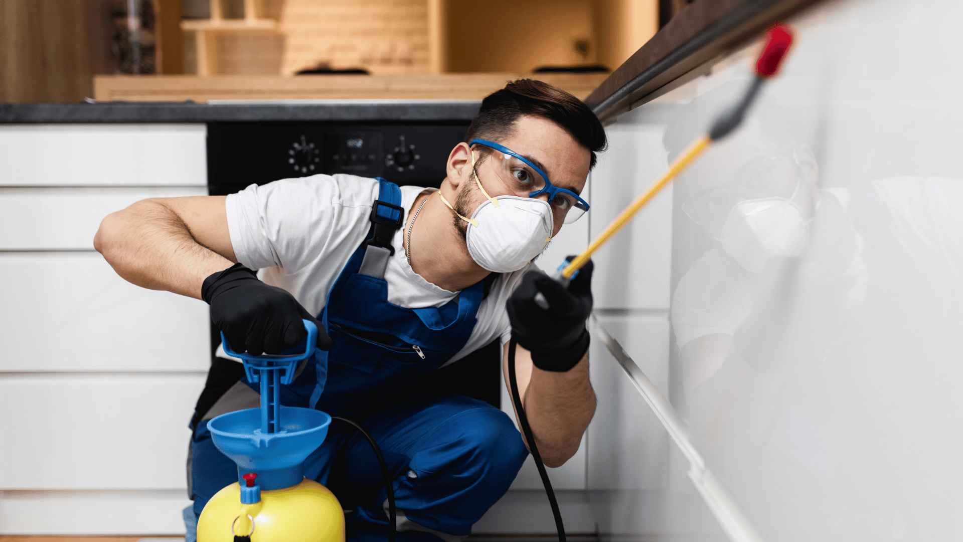 pests control in condo