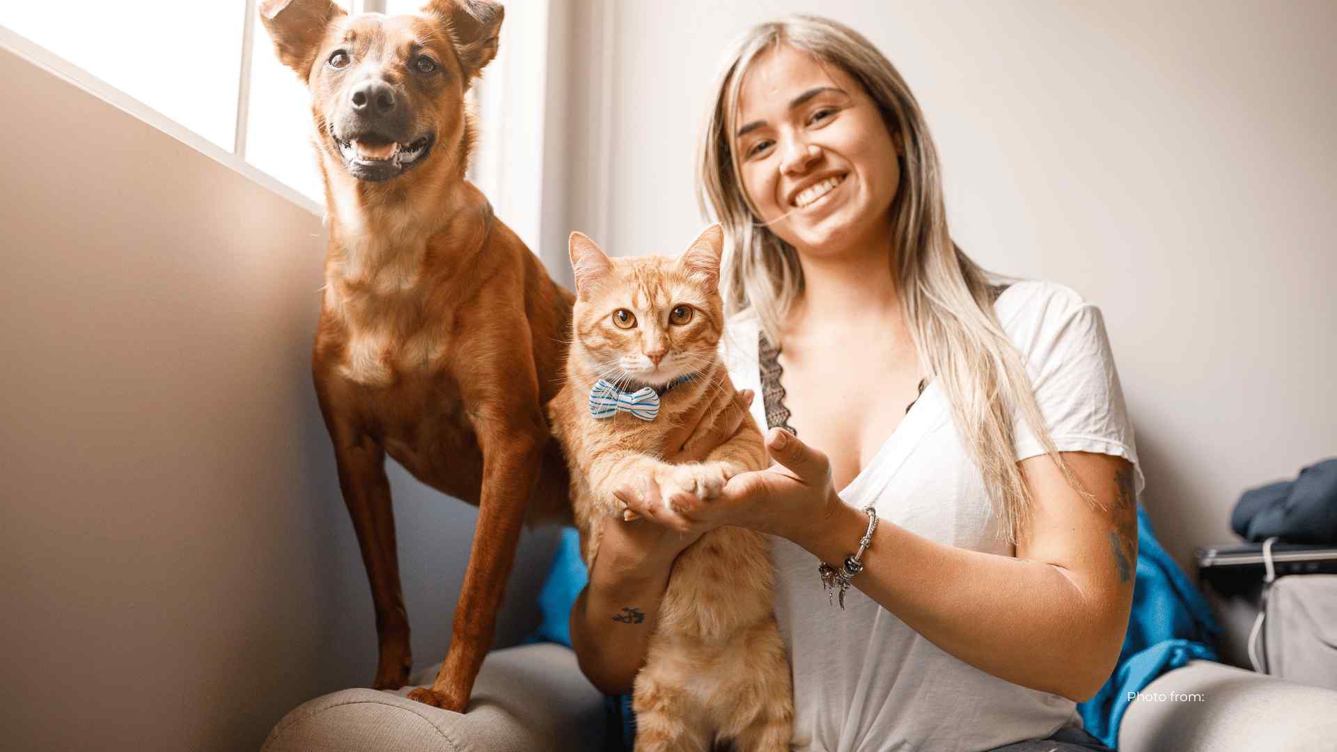 how to take care of your pet in a condo