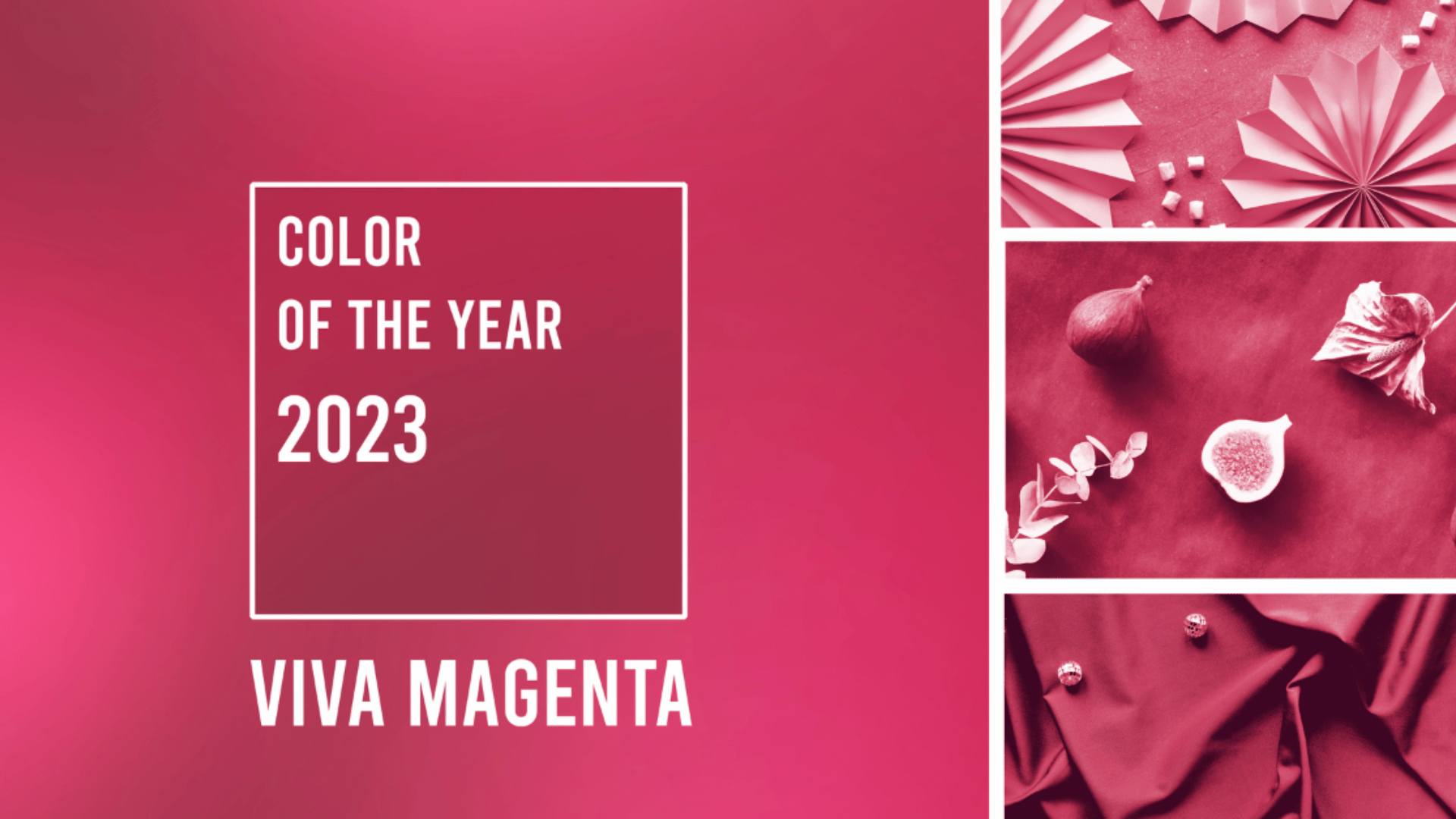 color of the year 2023, viva magenta in different shades