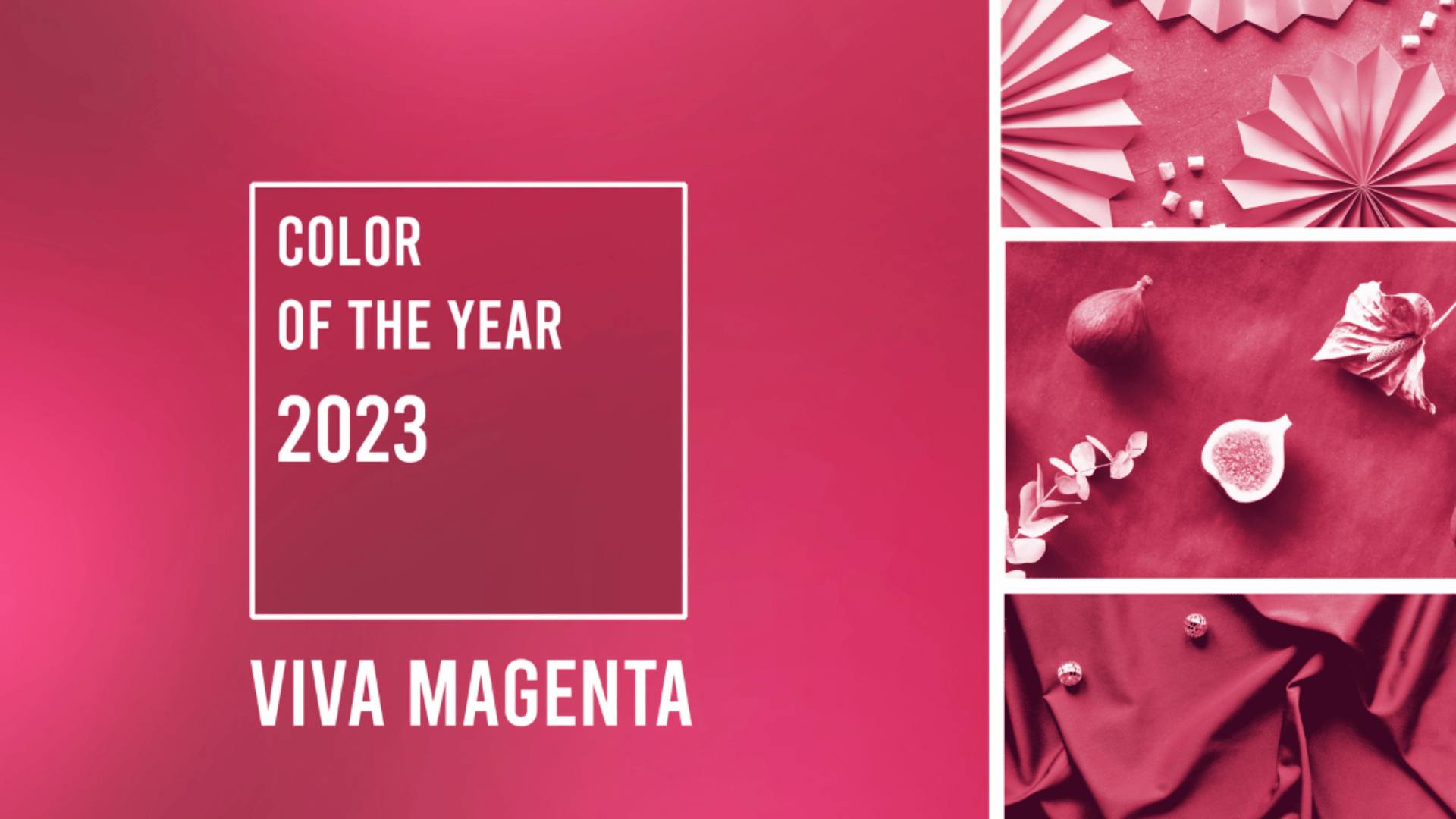 Pantone's 2023 Color of the Year revealed - Good Morning America