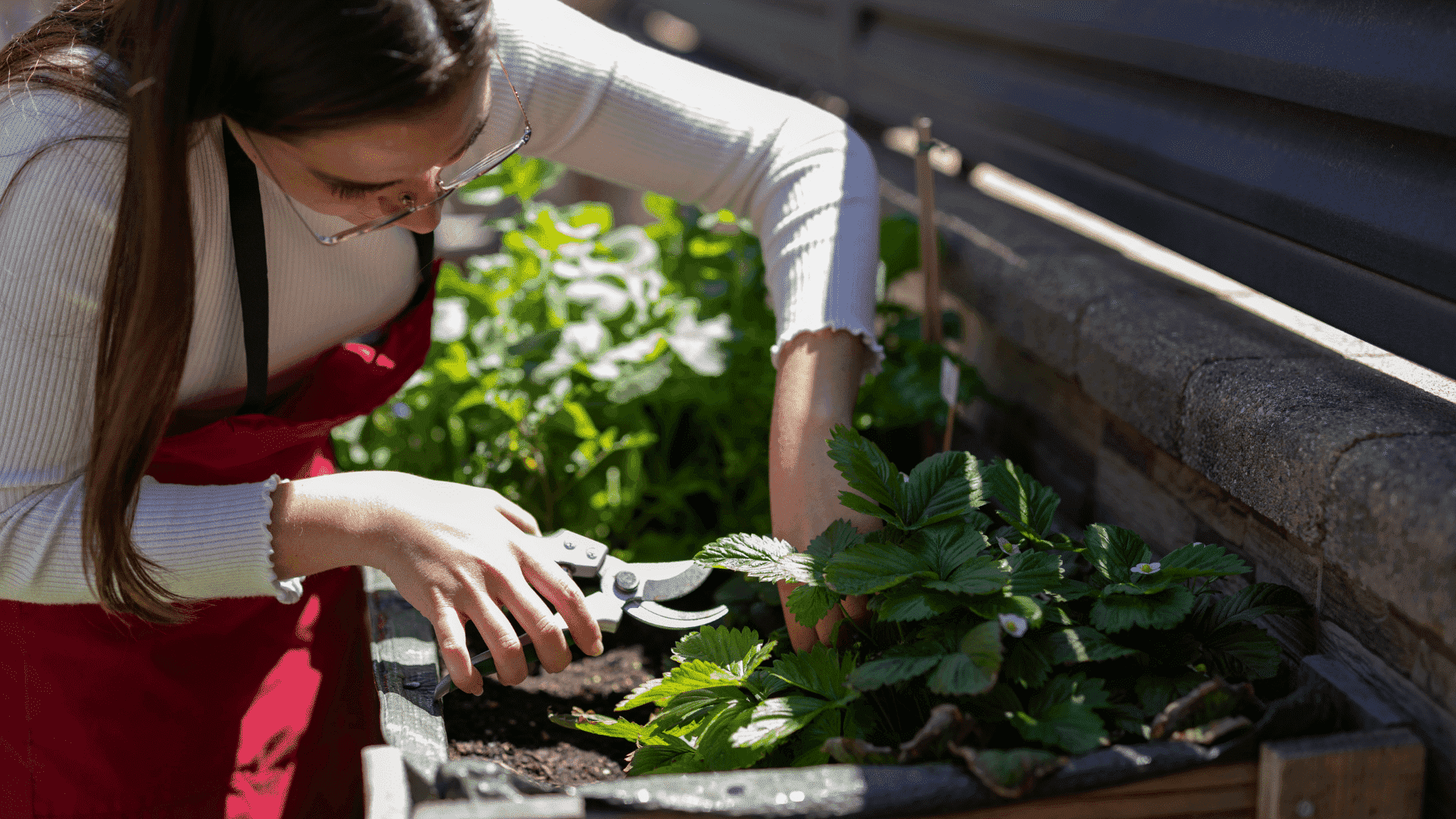 urban farming in your condo in the philippines